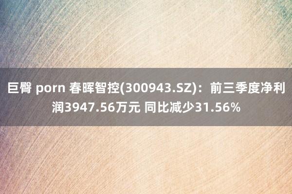 巨臀 porn 春晖智控(300943.SZ)：前三季度净利润3947.56万元 同比减少31.56%