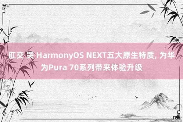 肛交 哭 HarmonyOS NEXT五大原生特质， 为华为Pura 70系列带来体验升级