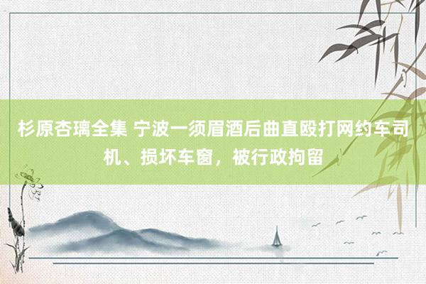 杉原杏璃全集 宁波一须眉酒后曲直殴打网约车司机、损坏车窗，被行政拘留