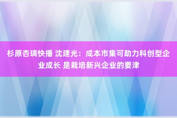 杉原杏璃快播 沈建光：成本市集可助力科创型企业成长 是栽培新兴企业的要津