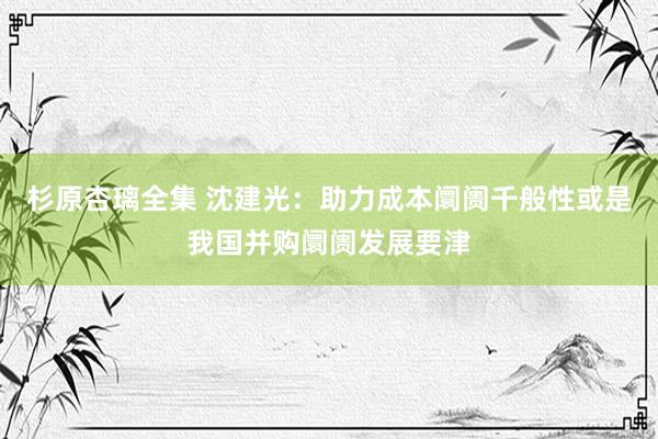 杉原杏璃全集 沈建光：助力成本阛阓千般性或是我国并购阛阓发展要津