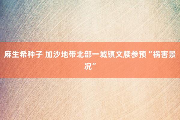 麻生希种子 加沙地带北部一城镇文牍参预“祸害景况”