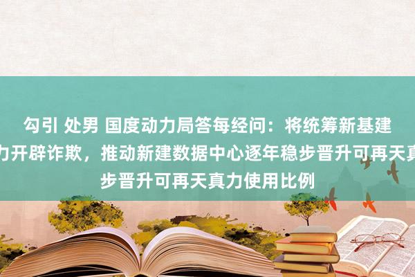 勾引 处男 国度动力局答每经问：将统筹新基建和可再天真力开辟诈欺，推动新建数据中心逐年稳步晋升可再天真力使用比例