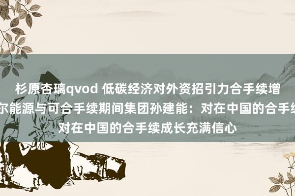 杉原杏璃qvod 低碳经济对外资招引力合手续增强 专访霍尼韦尔能源与可合手续期间集团孙建能：对在中国的合手续成长充满信心