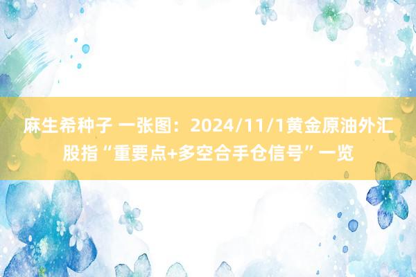 麻生希种子 一张图：2024/11/1黄金原油外汇股指“重要点+多空合手仓信号”一览