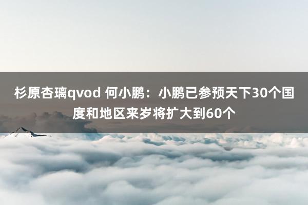 杉原杏璃qvod 何小鹏：小鹏已参预天下30个国度和地区来岁将扩大到60个