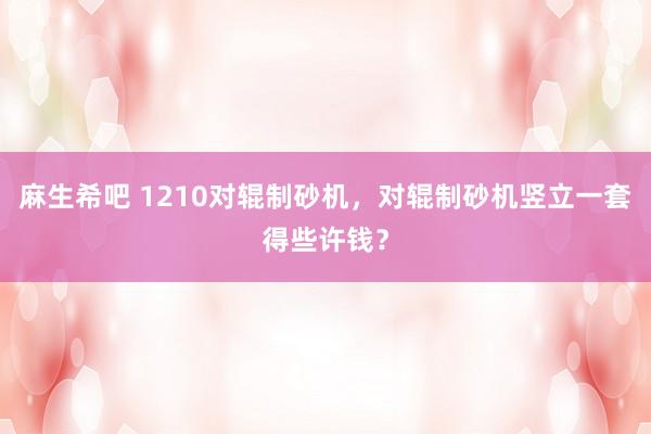 麻生希吧 1210对辊制砂机，对辊制砂机竖立一套得些许钱？