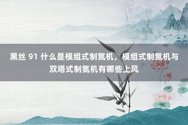 黑丝 91 什么是模组式制氮机，模组式制氮机与双塔式制氮机有哪些上风