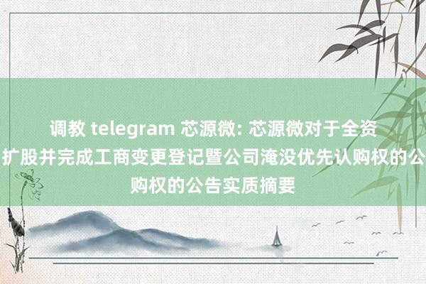 调教 telegram 芯源微: 芯源微对于全资子公司增资扩股并完成工商变更登记暨公司淹没优先认购权的公告实质摘要