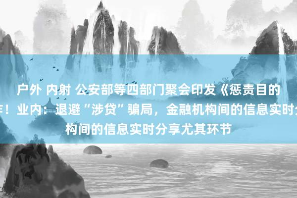 户外 内射 公安部等四部门聚会印发《惩责目的》，剑指电诈！业内：退避“涉贷”骗局，金融机构间的信息实时分享尤其环节