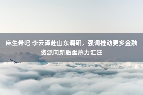 麻生希吧 李云泽赴山东调研，强调推动更多金融资源向新质坐蓐力汇注