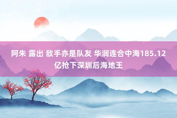 阿朱 露出 敌手亦是队友 华润连合中海185.12亿抢下深圳后海地王