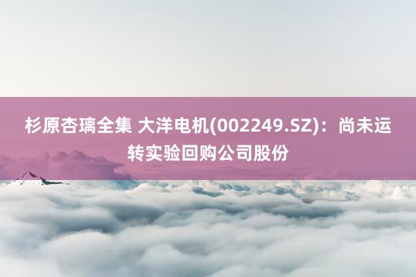 杉原杏璃全集 大洋电机(002249.SZ)：尚未运转实验回购公司股份