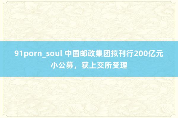 91porn_soul 中国邮政集团拟刊行200亿元小公募，获上交所受理