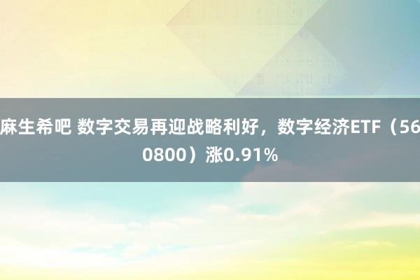 麻生希吧 数字交易再迎战略利好，数字经济ETF（560800）涨0.91%