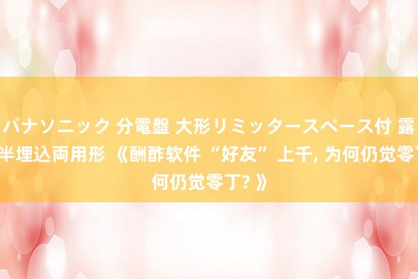 パナソニック 分電盤 大形リミッタースペース付 露出・半埋込両用形 《酬酢软件 “好友” 上千， 为何仍觉零丁? 》