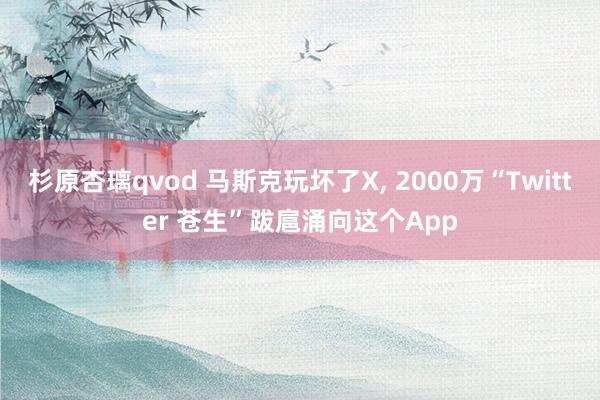 杉原杏璃qvod 马斯克玩坏了X， 2000万“Twitter 苍生”跋扈涌向这个App