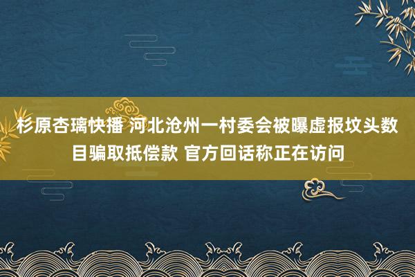 杉原杏璃快播 河北沧州一村委会被曝虚报坟头数目骗取抵偿款 官方回话称正在访问