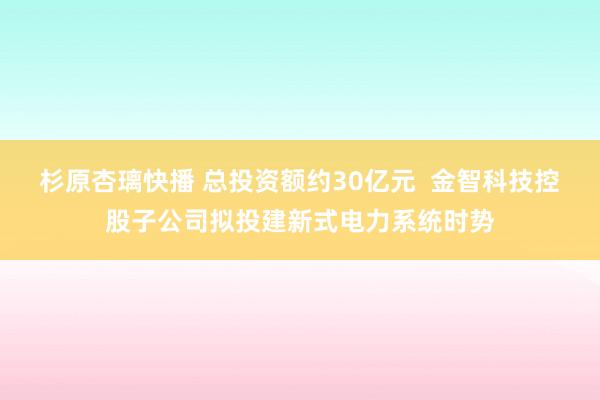 杉原杏璃快播 总投资额约30亿元  金智科技控股子公司拟投建新式电力系统时势