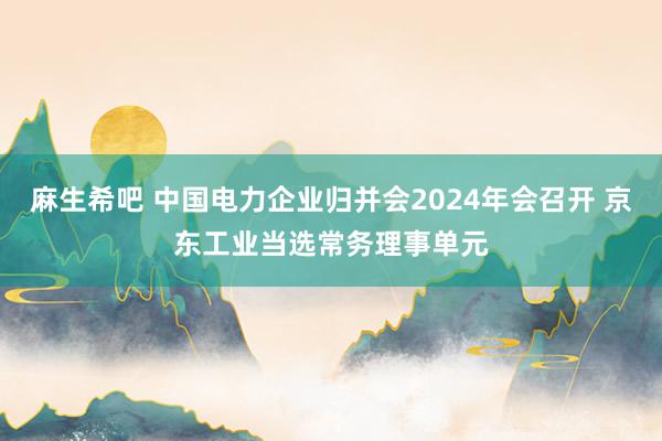 麻生希吧 中国电力企业归并会2024年会召开 京东工业当选常务理事单元