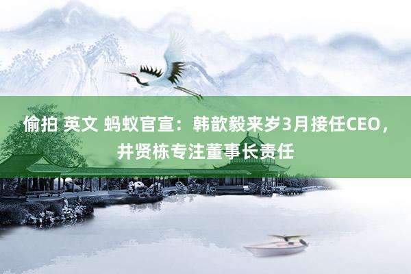 偷拍 英文 蚂蚁官宣：韩歆毅来岁3月接任CEO，井贤栋专注董事长责任