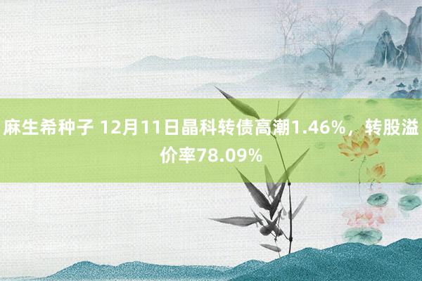 麻生希种子 12月11日晶科转债高潮1.46%，转股溢价率78.09%