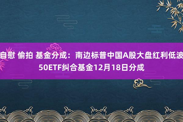 自慰 偷拍 基金分成：南边标普中国A股大盘红利低波50ETF纠合基金12月18日分成