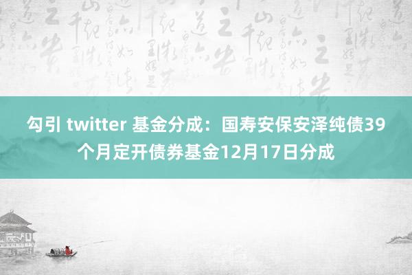 勾引 twitter 基金分成：国寿安保安泽纯债39个月定开债券基金12月17日分成