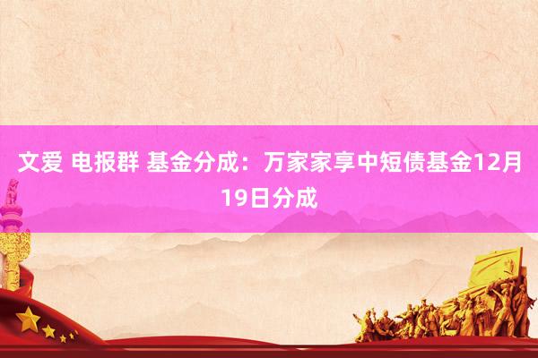 文爱 电报群 基金分成：万家家享中短债基金12月19日分成