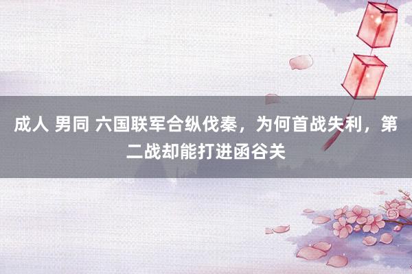 成人 男同 六国联军合纵伐秦，为何首战失利，第二战却能打进函谷关