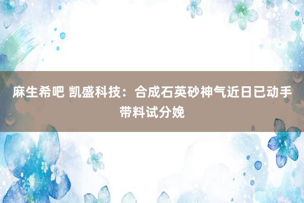 麻生希吧 凯盛科技：合成石英砂神气近日已动手带料试分娩