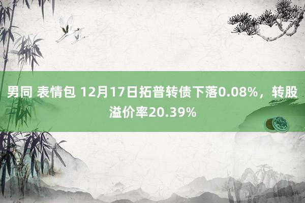 男同 表情包 12月17日拓普转债下落0.08%，转股溢价率20.39%