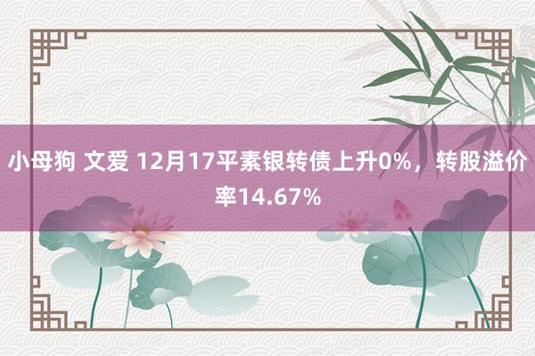 小母狗 文爱 12月17平素银转债上升0%，转股溢价率14.67%