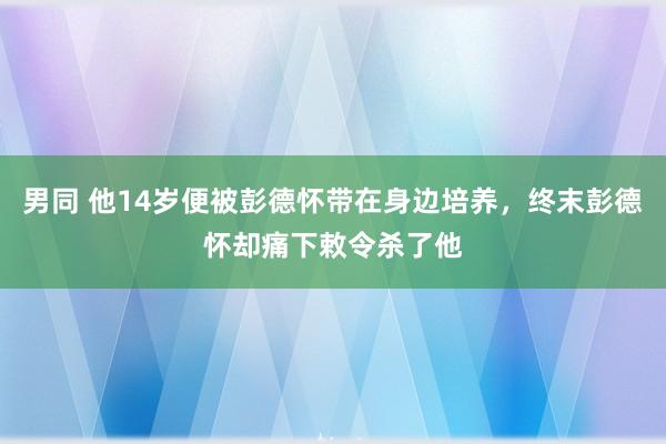 男同 他14岁便被彭德怀带在身边培养，终末彭德怀却痛下敕令杀了他