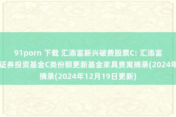 91porn 下载 汇添富新兴破费股票C: 汇添富新兴破费股票型证券投资基金C类份额更新基金家具贵寓摘录(2024年12月19日更新)