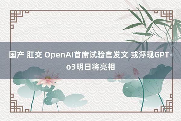 国产 肛交 OpenAI首席试验官发文 或浮现GPT-o3明日将亮相