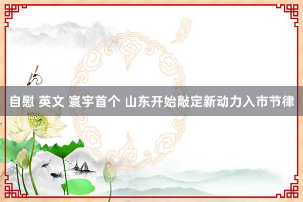 自慰 英文 寰宇首个 山东开始敲定新动力入市节律