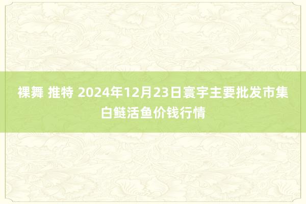 裸舞 推特 2024年12月23日寰宇主要批发市集白鲢活鱼价钱行情