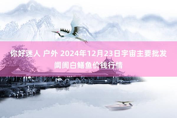 你好迷人 户外 2024年12月23日宇宙主要批发阛阓白鳝鱼价钱行情