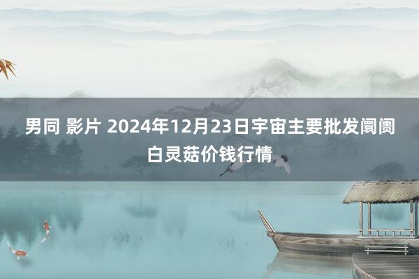 男同 影片 2024年12月23日宇宙主要批发阛阓白灵菇价钱行情