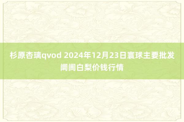 杉原杏璃qvod 2024年12月23日寰球主要批发阛阓白梨价钱行情