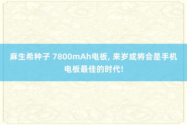 麻生希种子 7800mAh电板， 来岁或将会是手机电板最佳的时代!