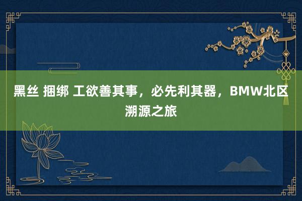 黑丝 捆绑 工欲善其事，必先利其器，BMW北区溯源之旅