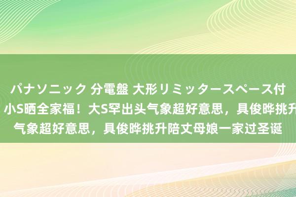 パナソニック 分電盤 大形リミッタースペース付 露出・半埋込両用形 小S晒全家福！大S罕出头气象超好意思，具俊晔挑升陪丈母娘一家过圣诞