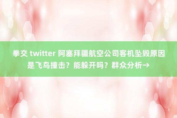 拳交 twitter 阿塞拜疆航空公司客机坠毁原因是飞鸟撞击？能躲开吗？群众分析→