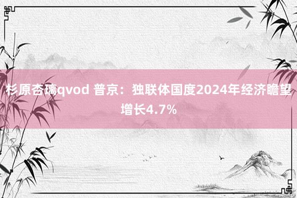 杉原杏璃qvod 普京：独联体国度2024年经济瞻望增长4.7%