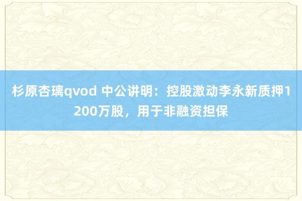 杉原杏璃qvod 中公讲明：控股激动李永新质押1200万股，用于非融资担保