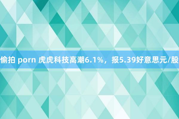 偷拍 porn 虎虎科技高潮6.1%，报5.39好意思元/股