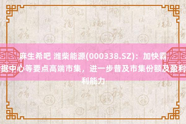 麻生希吧 潍柴能源(000338.SZ)：加快霸占数据中心等要点高端市集，进一步普及市集份额及盈利能力