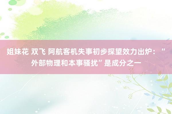 姐妹花 双飞 阿航客机失事初步探望效力出炉：“外部物理和本事骚扰”是成分之一